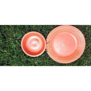 Fiestaware Persimmon Soup Bowl & Dinner Plate